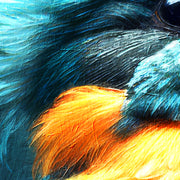 Gemälde Eisvogel