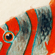 Fische des Great Barrier Reefs - William Saville-Kent