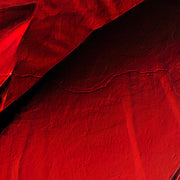 Dame mit Klatschmohn