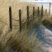 Nederlandse kust met duinen
