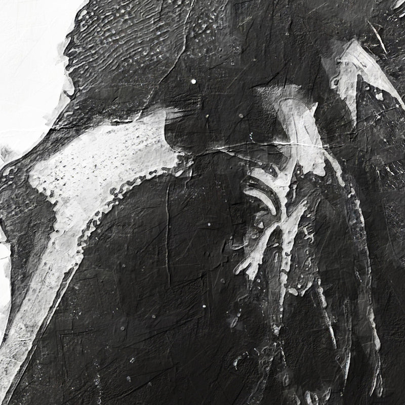 Pferd Schwarz-Weiß-Kunst