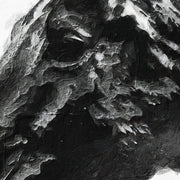 Pferd schwarz-weiß