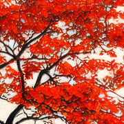 Ein Baum mit rotem Laub