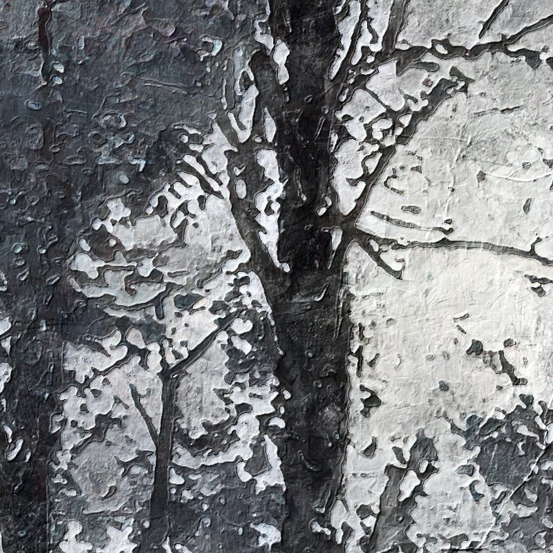 Schwarz-Weiß-Wald