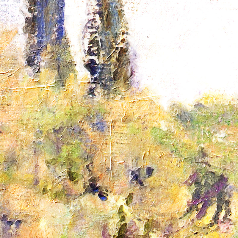 The Effect inthe Late Afternoon-Monet