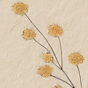 Illustraties van Vaas