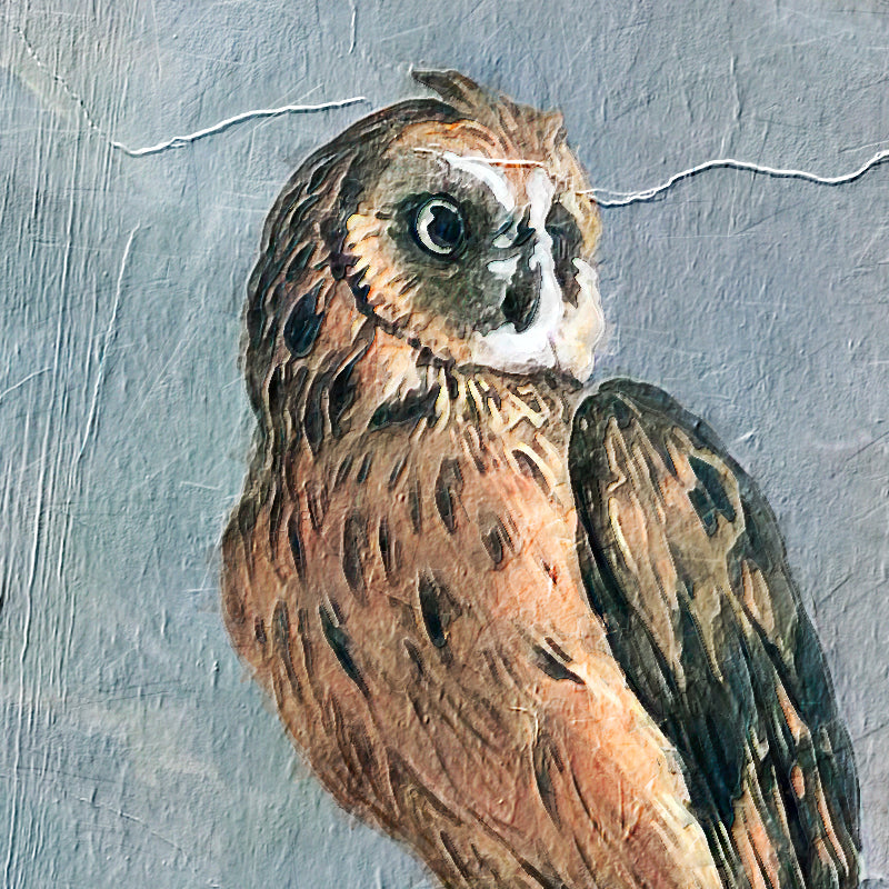 Paleis van Amsterdam met exotische vogels - Melchior d'Hondecoeter