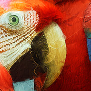 Schilderij twee papegaaien