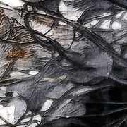 Vrouw Met Vogels Art