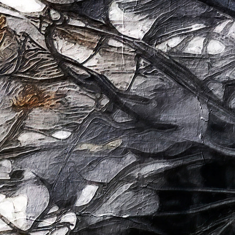 Vrouw Met Vogels Art