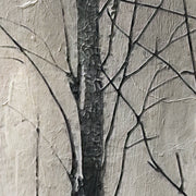 Landschap in zwart wit