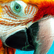 Schilderij vrouw met papegaai