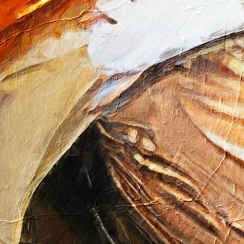 fragment_c-1037.jpg
