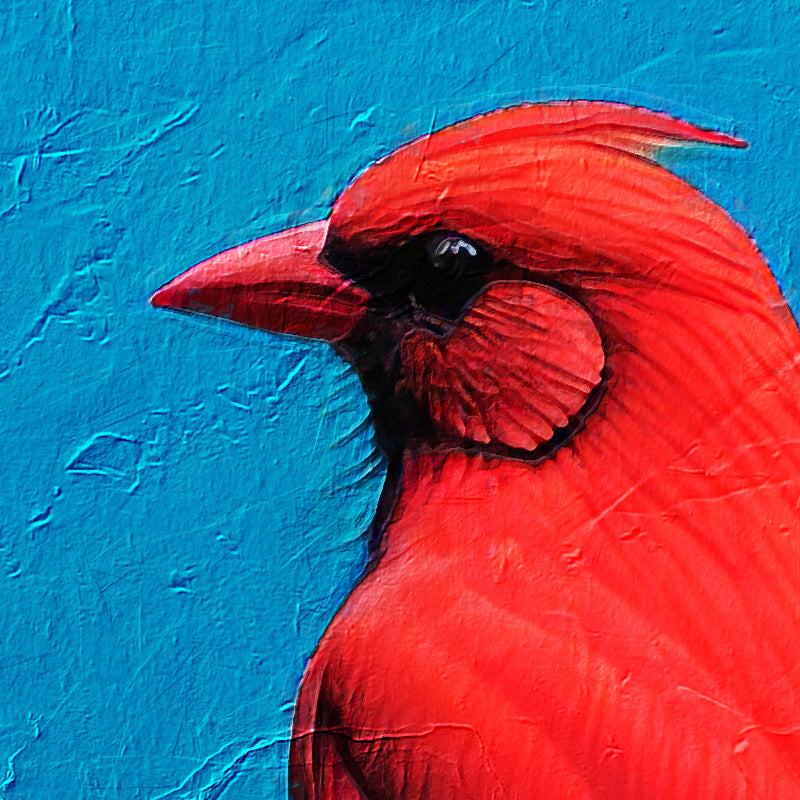 Vogel auf Ast