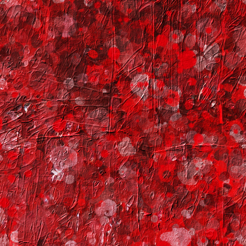 fragment_c-1145.jpg