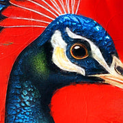 Pfau in Rot