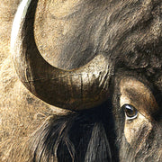 Schöne Stier-Kunst