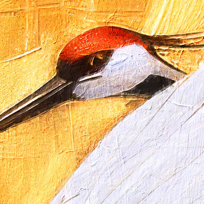 fragment_c-1291.jpg