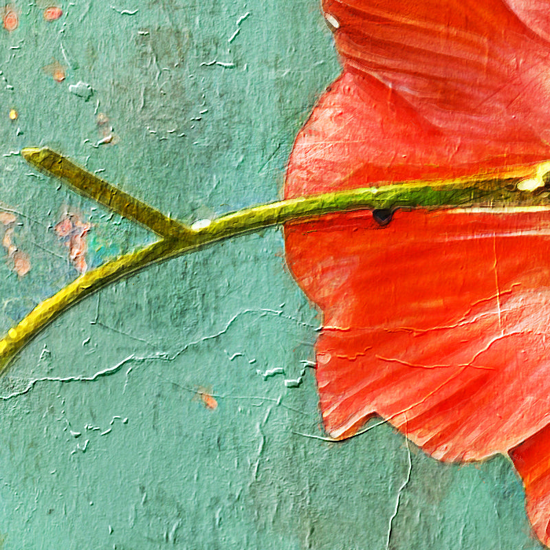 fragment_c-1335.jpg