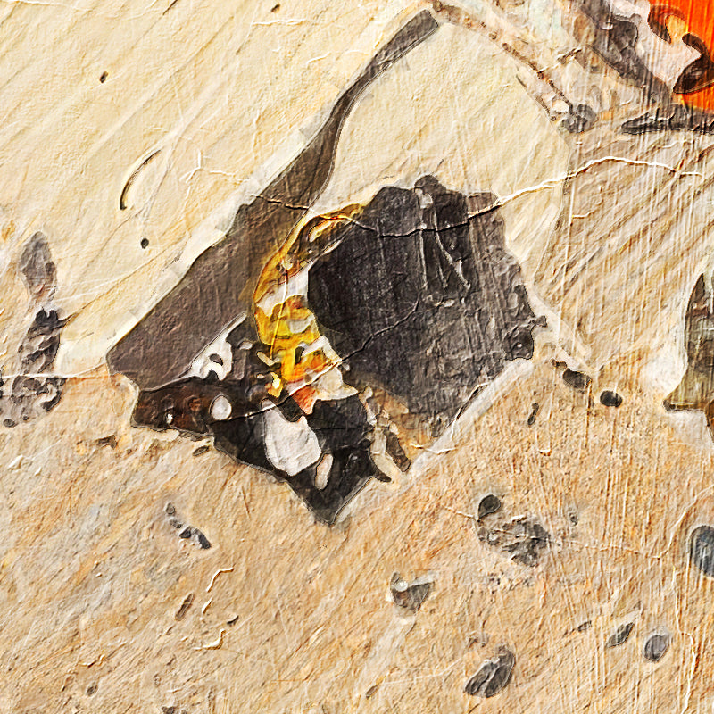 fragment_c-1375.jpg