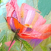 Schöne Blumen