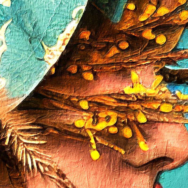 fragment_c-1397.jpg