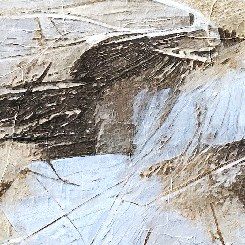 fragment_c-1429.jpg