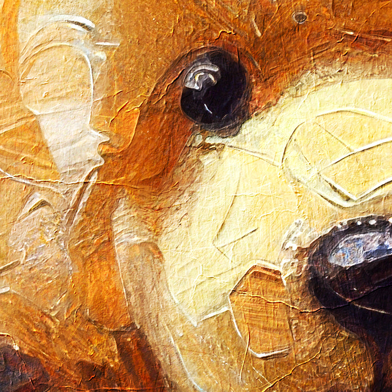 fragment_c-1431.jpg