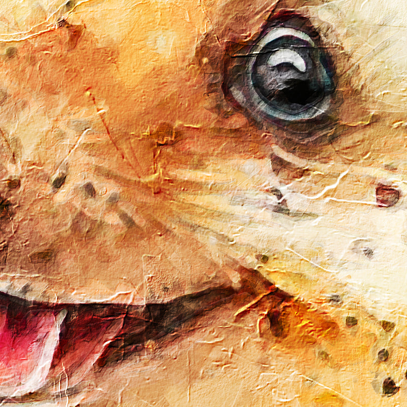 Egel