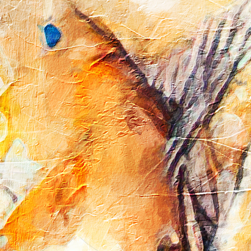 fragment_co-291.jpg