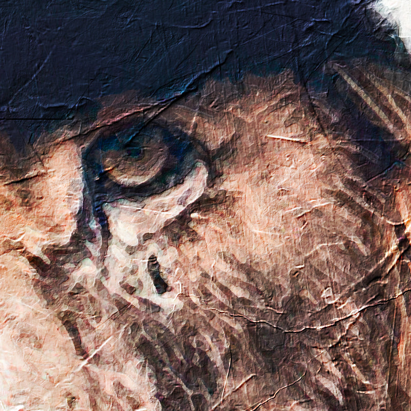 fragment_co-297.jpg
