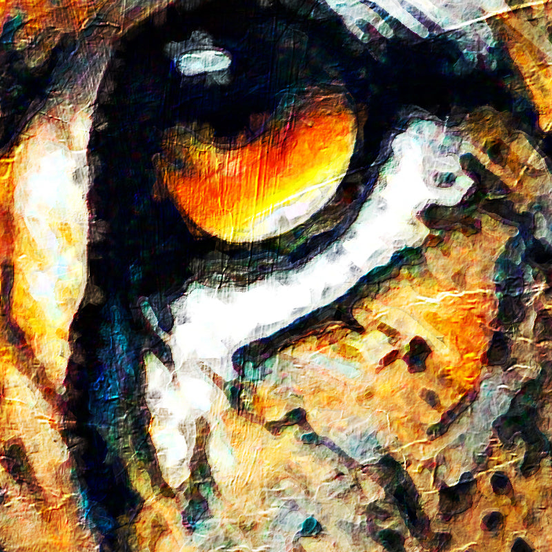 fragment_co-313.jpg