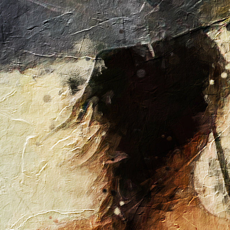 Lady