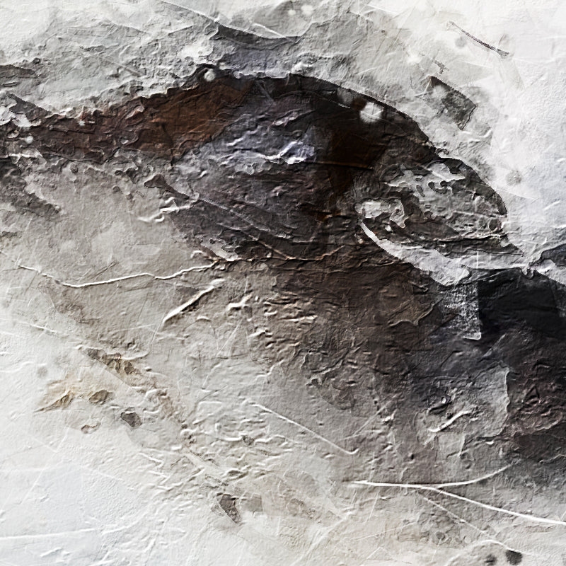 fragment_co-401.jpg