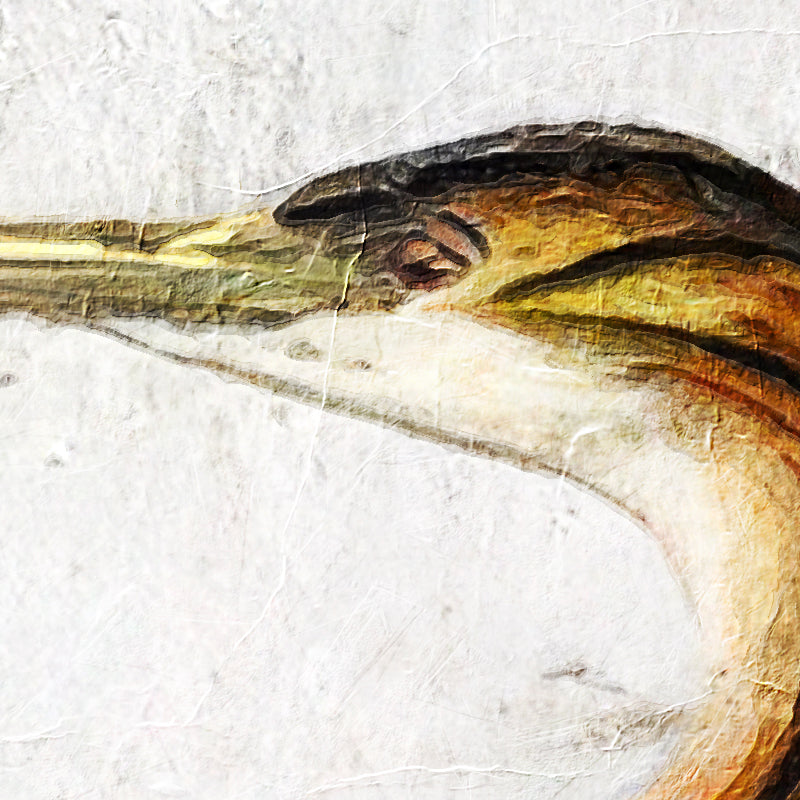 Japanse vogel