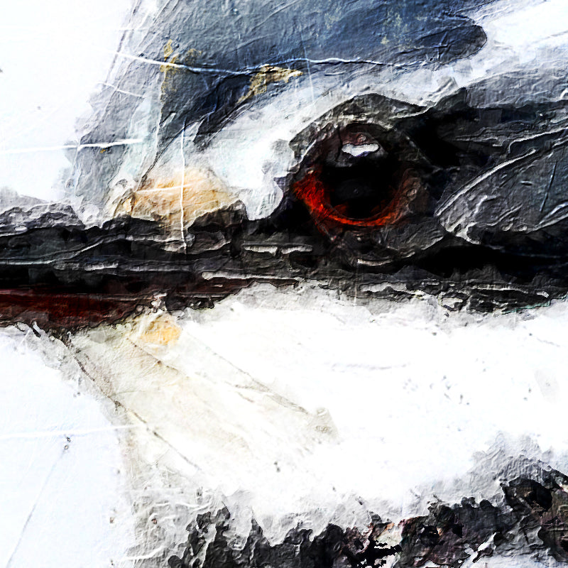 fragment_co-446.jpg