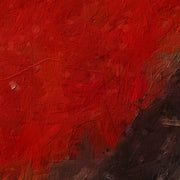 Carolina - Vincenzo Migliaro