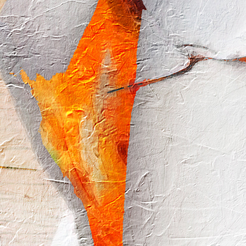 fragment_co-598.jpg