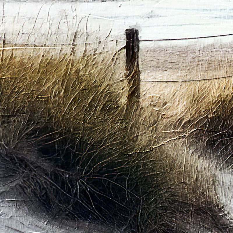 Zee, strand, duinen