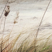 Meer, Strand, Dünen IV