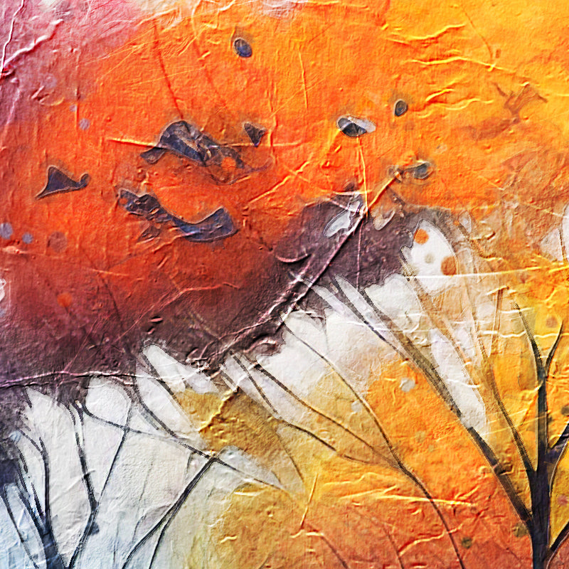 Landschap in kleur