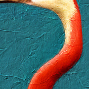 Roter Ibis