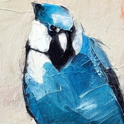 Vögel in Farbe