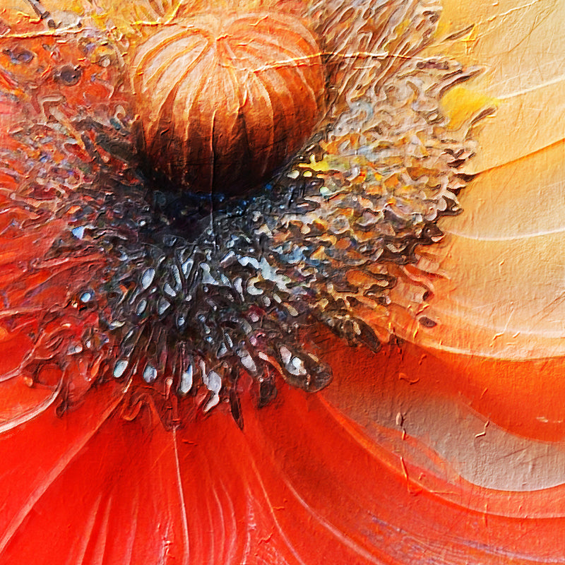 Flora II