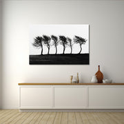 6 Bomen schilderij