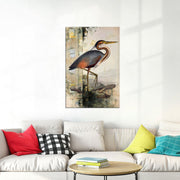 Reiher Vogel