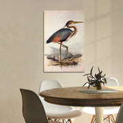 Ooievaar vogel