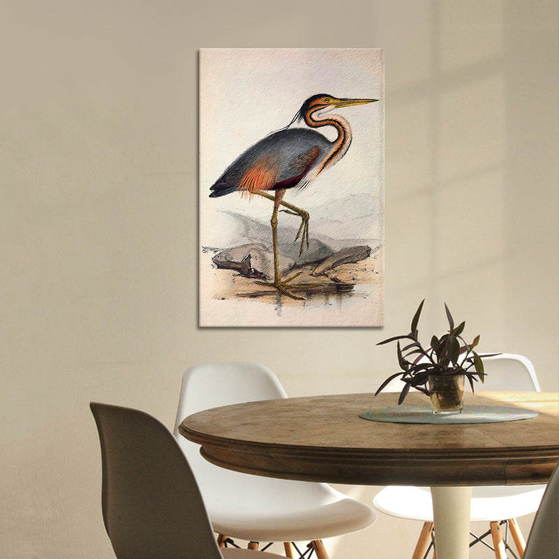 Ooievaar vogel