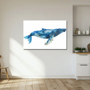 de blauwe Walvis