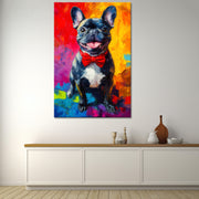 Französische Bulldogge